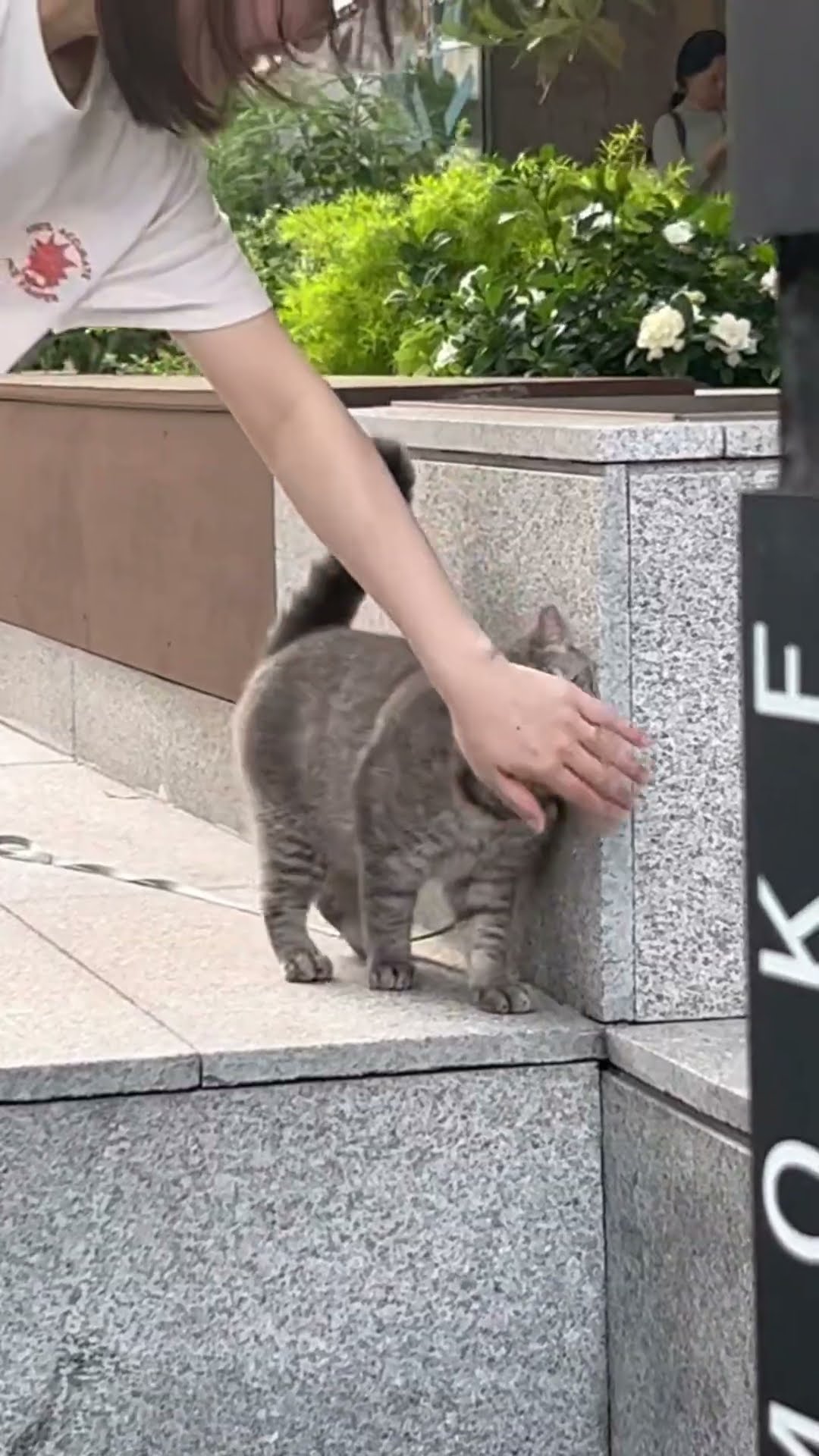 Allergy-Stricken Girl Shows Affection for Cat from Afar
