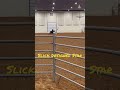 Slick Designed Star barrel horse