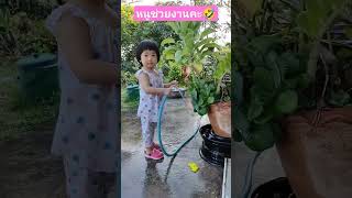 หนูช่วยงานคะ🤣 #baby #cute #น่ารัก #เด็กน่ารัก #shorts #getandgelly #reels #kids#กดติดตาม#shortvideo