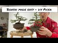 Bonsai Made Easy - DIY Picea