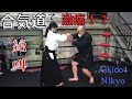 合気道稽古で激痛…プロレスラーが絶叫　合気道体験実践編②　Extremely painful in aikido practice... Pro-wrestler screams for aikido