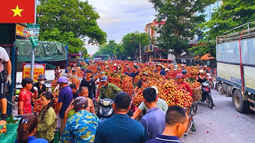 Chợ Vải 13/6/2025: Giá Vải Hôm Nay Tại Ngã 3 Kép Xã Hồng Giang,Lục Ngạn, Bắc Giang.