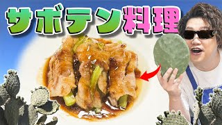 【サボテン食べてみた】想像してたよりも安全平和で美味しい料理回(ガチ)