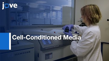 Flow Cytometric Analysis Of Extracellular Vesicles From Cell-Conditioned Media l Protocol Preview