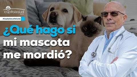 Doctubers Capital Salud - ¿Qué hacer si una mascota te muerde?