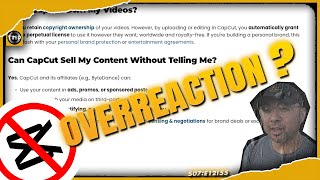 Celebrity CapCut's New Terms EXPOSED: Are They Stealing Your Content? ◦ the nai project™ Net Worth