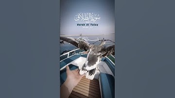 65 Surah At Talaq  | Para 28 | Urdu Translation | سورة الطلاق‎ | #surahtalaq #quran #learnquran