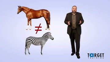 Working in Virtual Teams