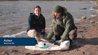 New handling regulations for Murray Cod in South Australia