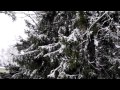 Nikon Coolpix P7000 video test part II - Finnish countryside in winter (HD)