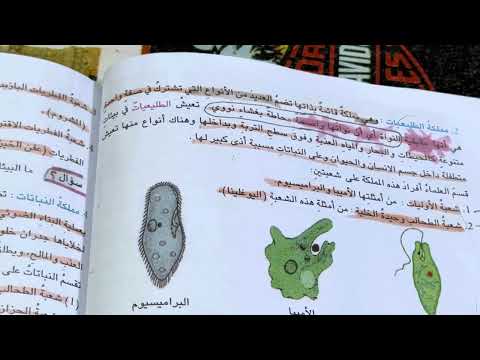 شرح وملخص ممالك الكائنات الحية احياء الثاني متوسط ست مريم