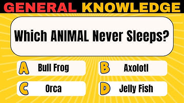 Think You’re Smart? 🧠 Try This 30-Question General Knowledge Quiz Challenge | Part 13
