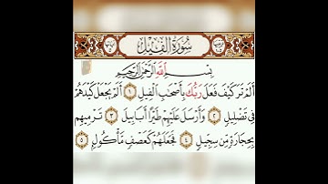 سورة الفيل  بصوت الشيخ ماهر المعيقلي