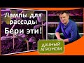 Не ошибись в выборе! Лучшие лампы для рассады найдены!