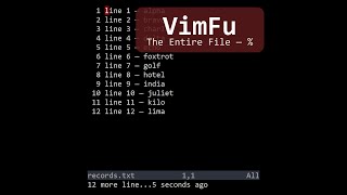 VimFu — The Entire File %