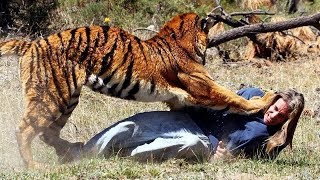 Top 10 Animals Attacking Humans Caught On Tape
