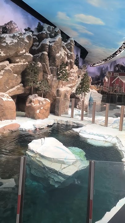 Sea world Abu Dhabi 🐧 Antarctica 😀🫠# you tube shorts @travel video