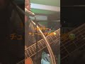 霧の中に消えた初恋 #さだまさし #アコギ弾き語り