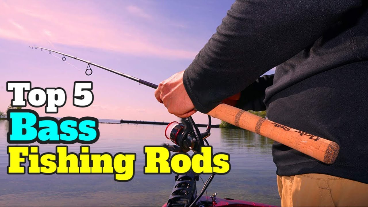 Best Bass Fishing Rods Under 100$  Best Cheap Bass Fishing Rods 2022 