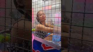 The Pattaya Dunking Machine