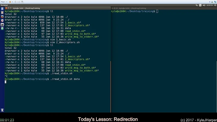 Redirection in Shell Scripts