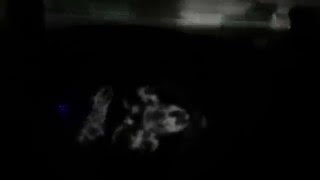 Download Lagu The Casualties-Depression-Unemployment lines MP3 Download Lagu The Casualties-Depression-Unemployment lines MP3