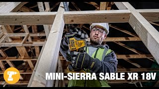 Mini-Sierra Sable Xr 18V Dewalt