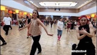 Have Fun Go Mad - Line Dance (by Scott Blevins (USA) - April 2003)