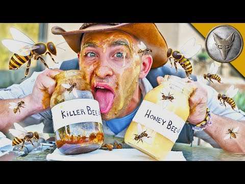 Video: Unterschied Zwischen Honey Bee Und Killer Bee