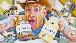 Is KILLER BEE Honey Dangerous?! 