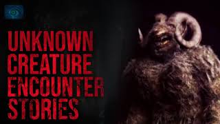 SCARY STORIES OF CREATURES AND UNKNOWN CRYPTIDS - HORROR STORIES OF CRYPTID SIGHTINGS