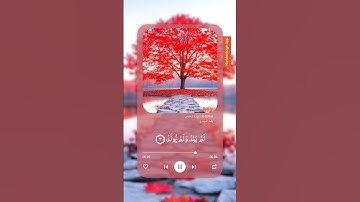 #قرآن #اكسبلور #المصحف #قران_كريم #القرآن_الكريم #راحة_نفسية #تلاوة_خاشعة @Yasseraldosry