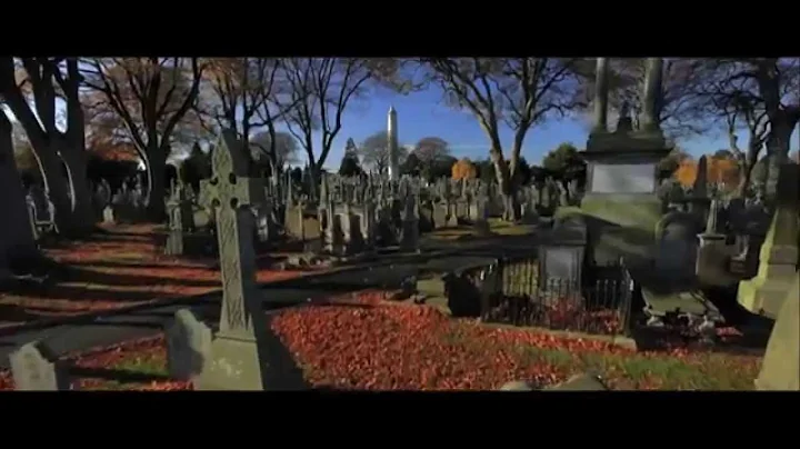 Susan Daly speaks on One Million Dubliners
