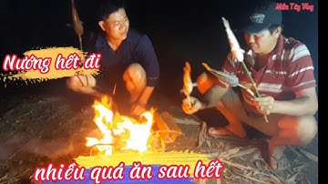 Cắm Câu Cá Lóc Trúng Đậm Nướng Ăn Ngoài Đồng / Miền Tây Vlog