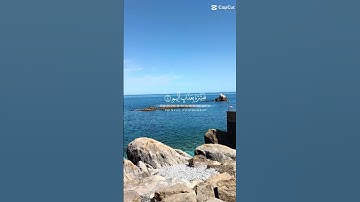 القران الكريم ----سورة الجاثية