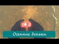 Подводный поиск #38 Осенние деньки