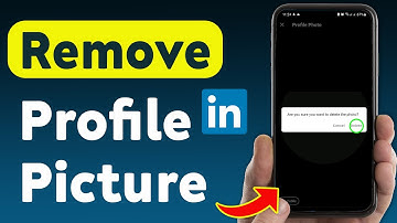 How To Remove Your Profile Picture on LinkedIn (Updated)