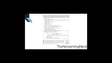 IP Options Header for Beginners
