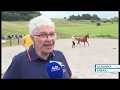 Karabakh horse -Germany AzTV