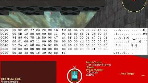 Tanarus with transmitted UDP packets