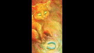 Into the Wild: Chapter 12