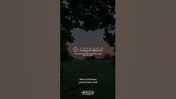 سورة الإخلاص | #الله #allah #القران_الكريم #القرآن_الكريم #foryou #اكسبلور #explore #المنشاوي #fyp