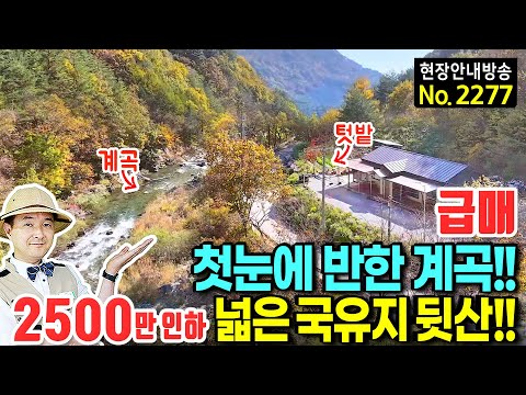 (급매) 첫눈에 반한 계곡에 지은 부부의 집 전원주택 매매 급매물 사정상 처분 6백만평 <strong>국유지</strong> 뒷산과 텃밭 넓은 주차장 모든 것이 힐링 휴양 요양 정선부동산 - 발품부동산TV