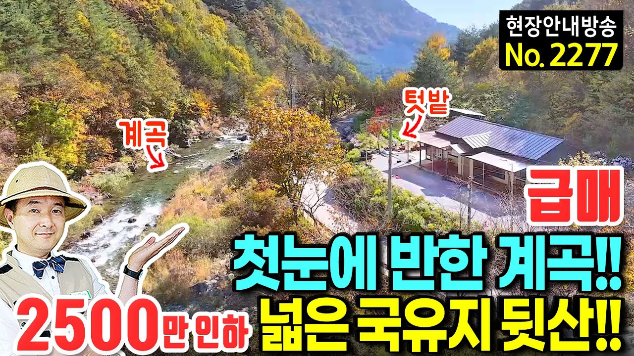 (급매) 첫눈에 반한 계곡애 지은 부부의 집 전원주택 매매 급매물 사정상 처분 6백만평 국유지 뒷산과 텃밭 넓은 주차장 모든 것이 힐링 휴양 요양 정선부동산 - 발품부동산TV