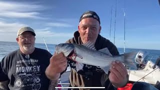 OUT FOR BREAM POLLOCK AND BASS  live boat fishing