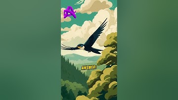 Quiz #115 #quiz #quiztime #brainteasers #testyourknowledge #quizmaster #trivia #quizshow #puzzle