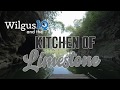 WilgusIQ Limestone Kitchen