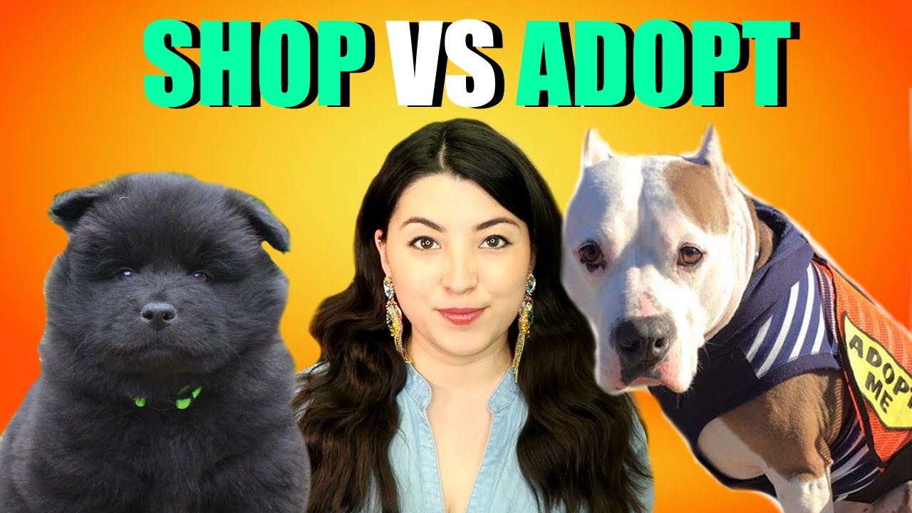 Getting A Puppy? WATCH THIS FIRST! Adopt or Buy A Dog?