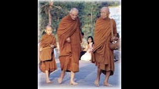 The Nature of Memory/Perception(Saññā) in Buddhism by Ajahn Pannavaddho