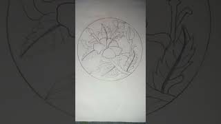 Draw Hibiscus flowers in circle🌺🌺